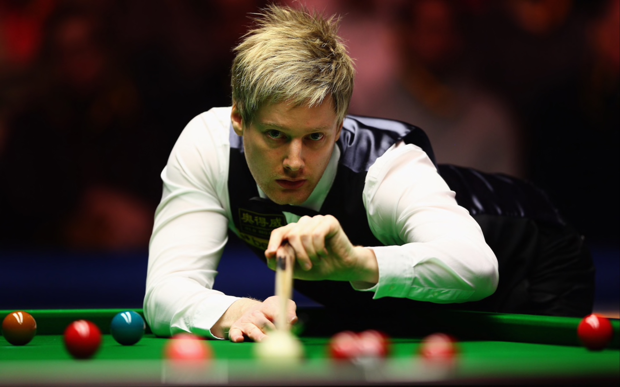 出荷兰国青 出荷兰国青